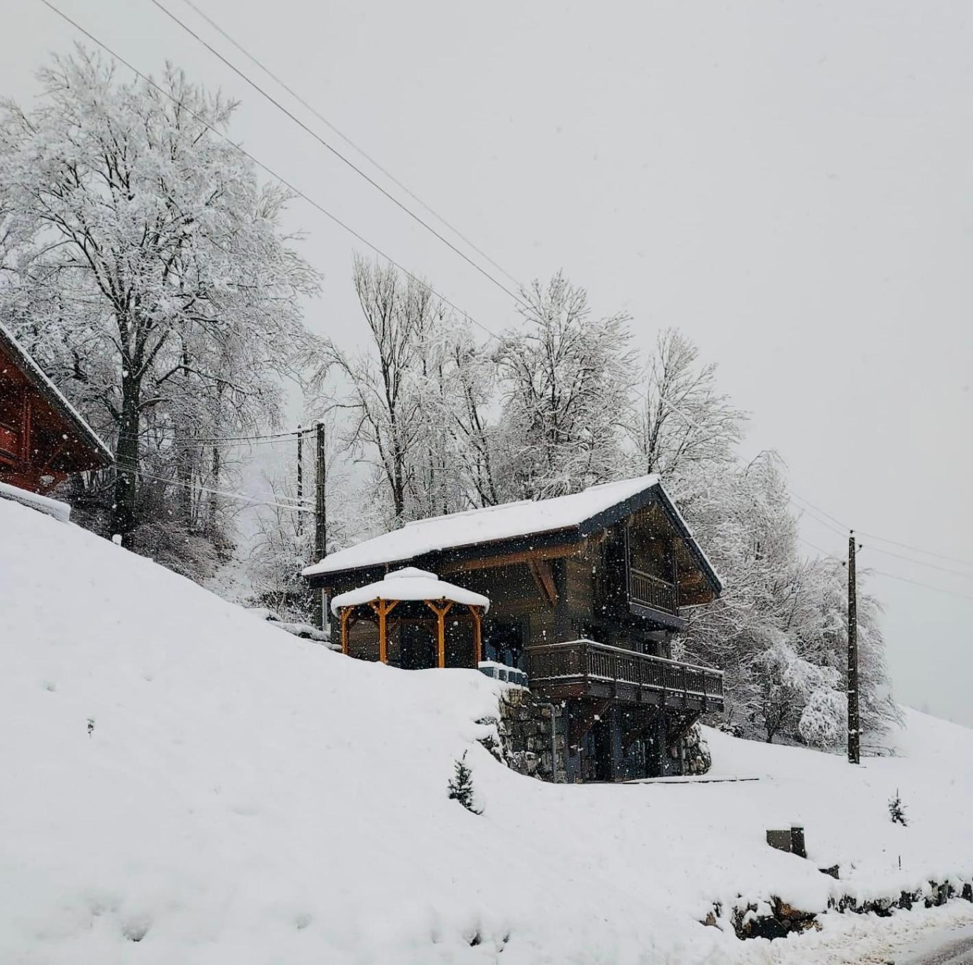 Chalet Du Bonheur Villa Bonnevaux  Dış mekan fotoğraf