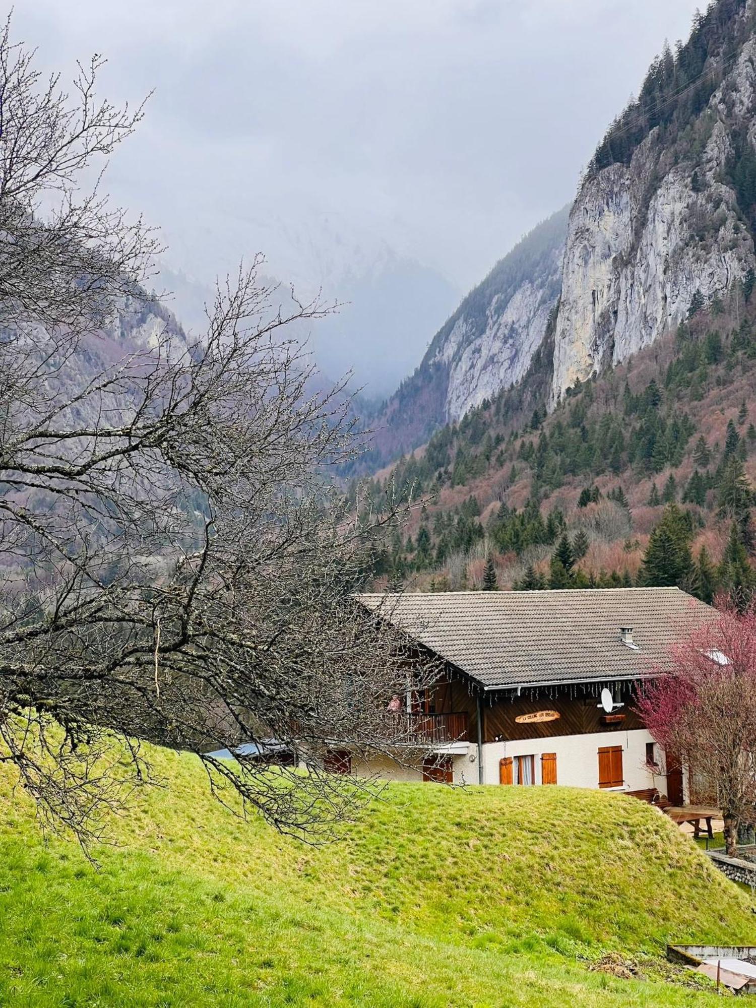 Chalet Du Bonheur Villa Bonnevaux  Dış mekan fotoğraf