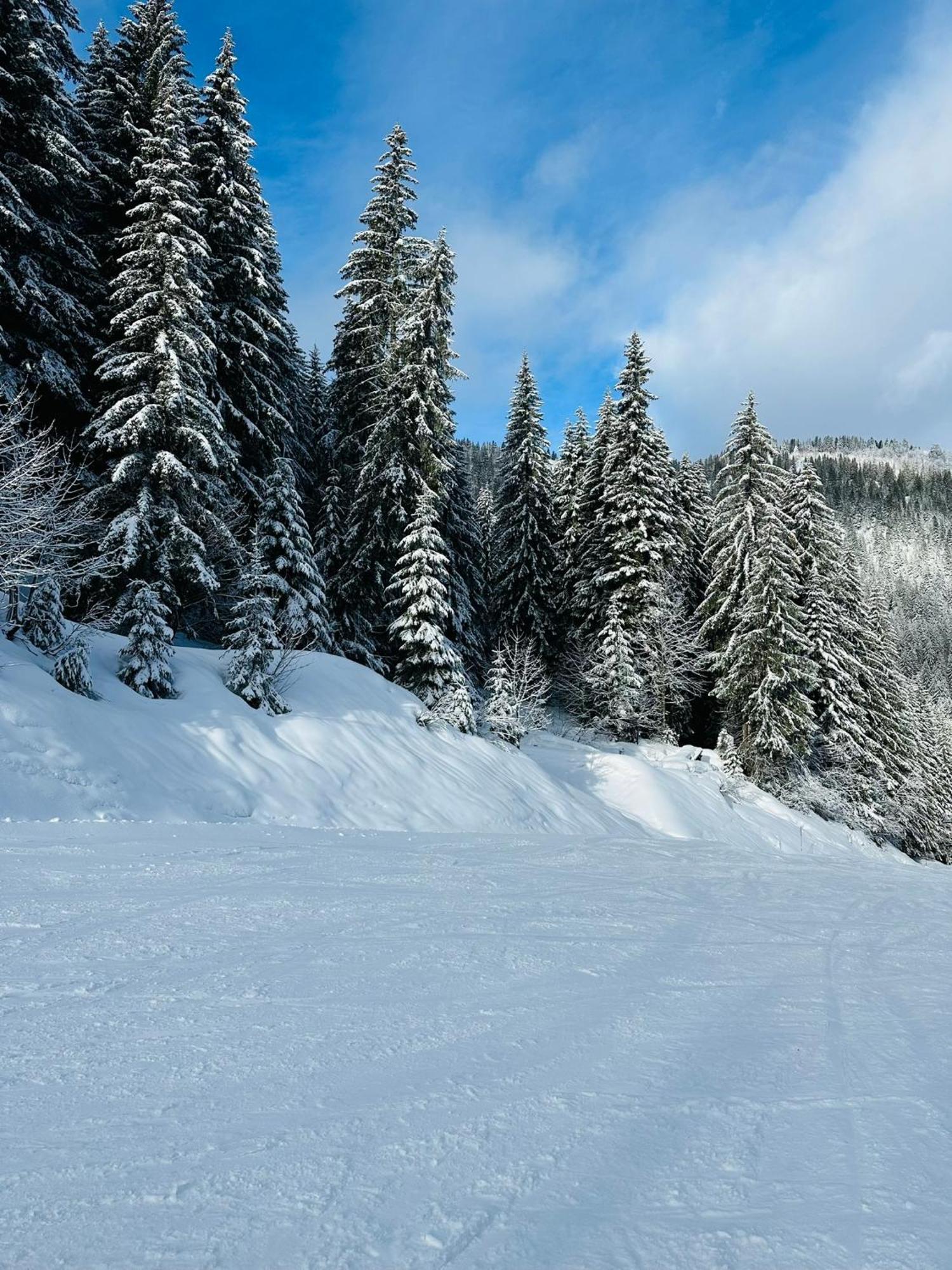 Chalet Du Bonheur Villa Bonnevaux  Dış mekan fotoğraf